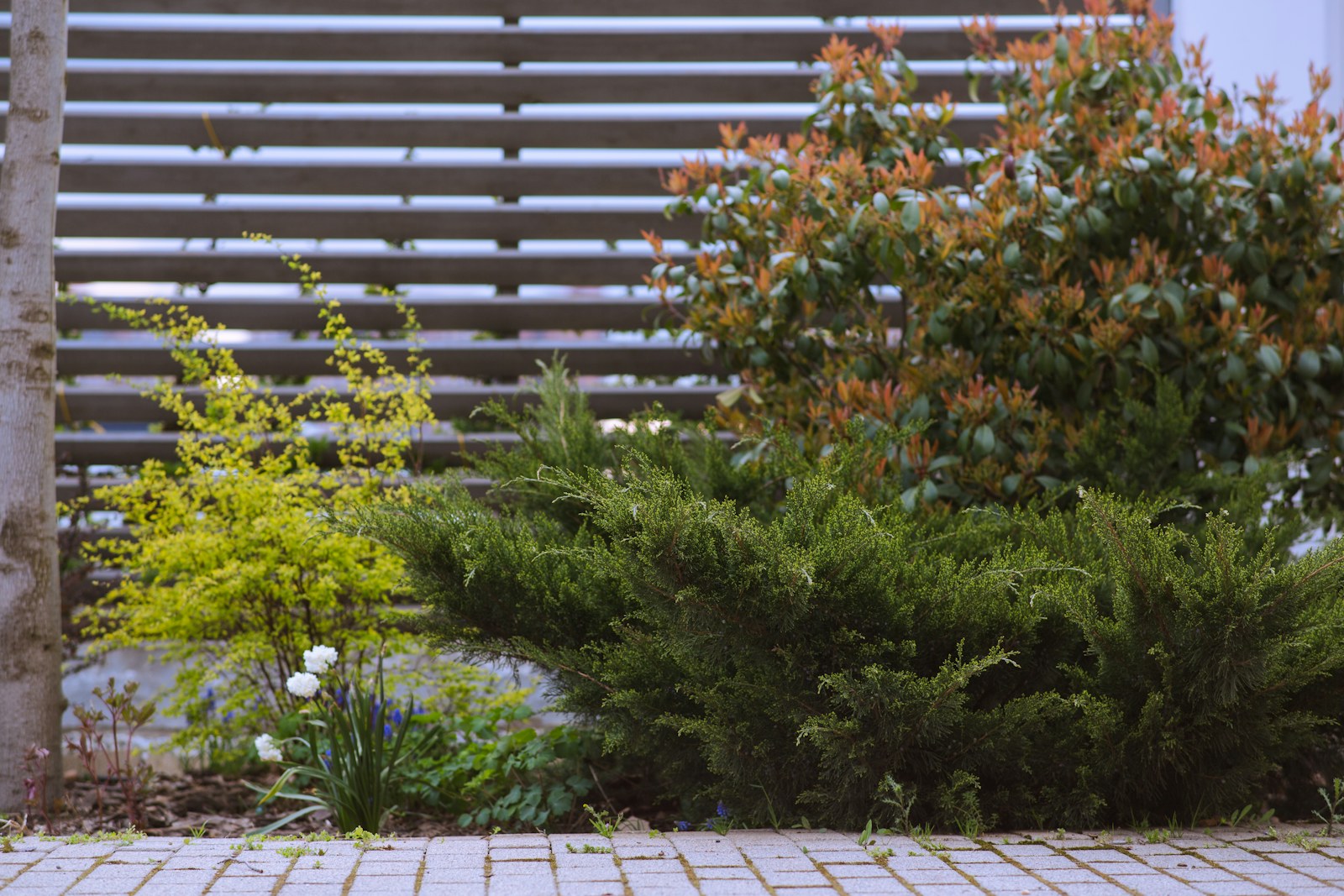 Moderne schutting in een groene tuin